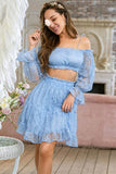 Lace Flounce Sleeve Cropped Top and Frill Trim Skirt Set